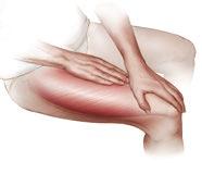 Para ubicar el músculo correcto, coloque la yema de los dedos en la parte media del muslo y presione suavemente hacia abajo para ubicar el fémur.