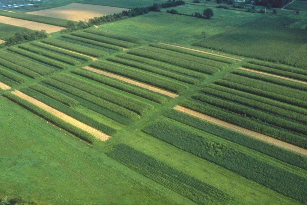 Estudio de Sistemas Agrícolas (ESA): Establecido en 1981. Se comparan tres sistemas de cultivos.