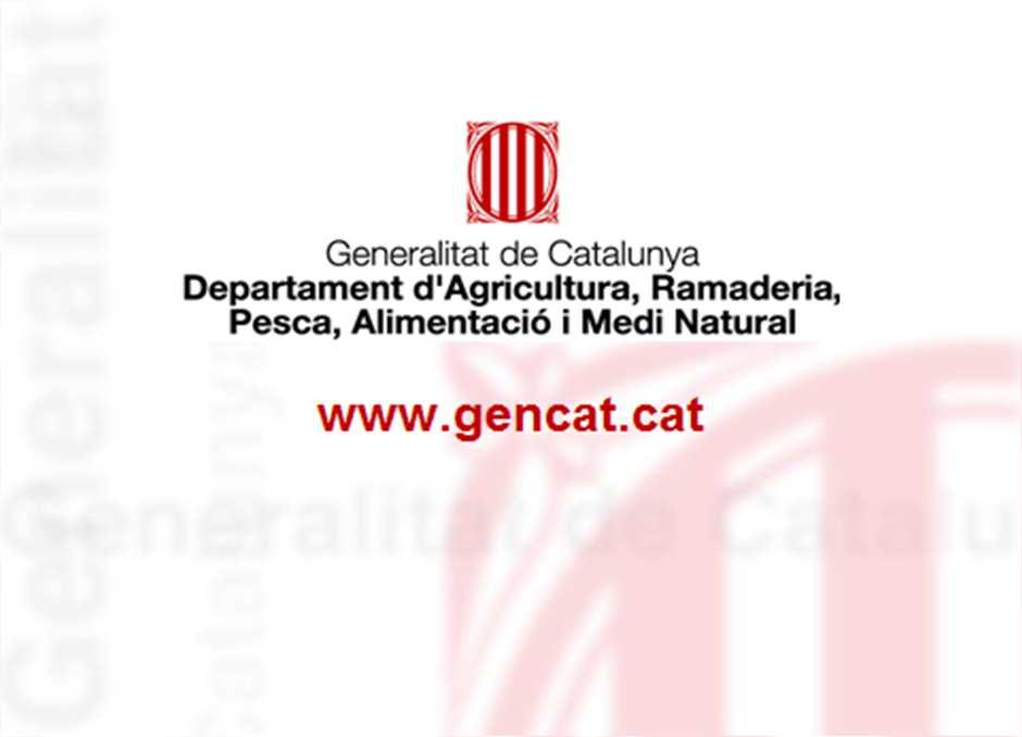 Web del DAAM (http://www.gencat.