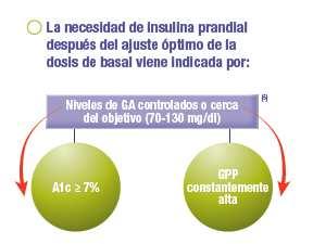 A medida que avanza la DM2, será necesaria la adición de insulina prandial tras la optimización de la insulina basal Si las modificaciones sobre EV + metformina + insulina basal no consiguen un buen