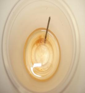 La puntilla en estas condiciones perdió brillo de manea homogénea, en la cabeza de la puntilla se observa inicio de oxidación en la medida que presenta un color café, en