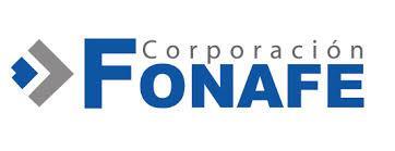 Taller de Buen Gobierno Corporativo FONAFE y empresas Anexo 8