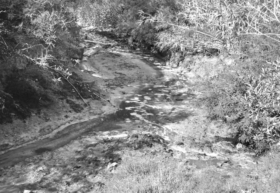 Para evaluar la calidad de las aguas que presentaba el río Guadalquivir el año 2008, se tomó como referencia el estudio "Diagnóstico de la calidad del agua en la cuenca alta del río Bermejo" que
