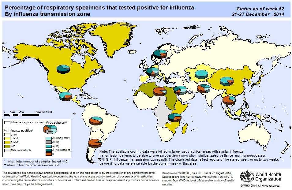 Influenza global update / Actualización de influenza a nivel global Globally, as of EW 52 influenza activity continued to increase in the northern hemisphere with influenza A(H3N2) viruses