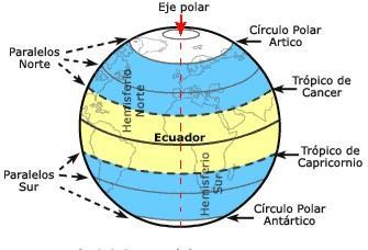 Los paralelos son círculos imaginarios paralelos al Ecuador y entre sí. Su tamaño disminuye del Ecuador a los polos debido a la redondez de la Tierra.