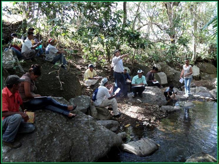 Usuarios de agua de 6 comunidades rurales Asociación de Juntas de Agua Comité de Cuenca Gobierno Municipal Instituto de Conservación Forestal Instituto
