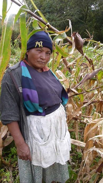 La mejora de la fertilidad del suelo y el manejo del suelo a gran escala puede ser la técnica de adaptación más importante a disposición de los pequeños agricultores en Centroamérica.