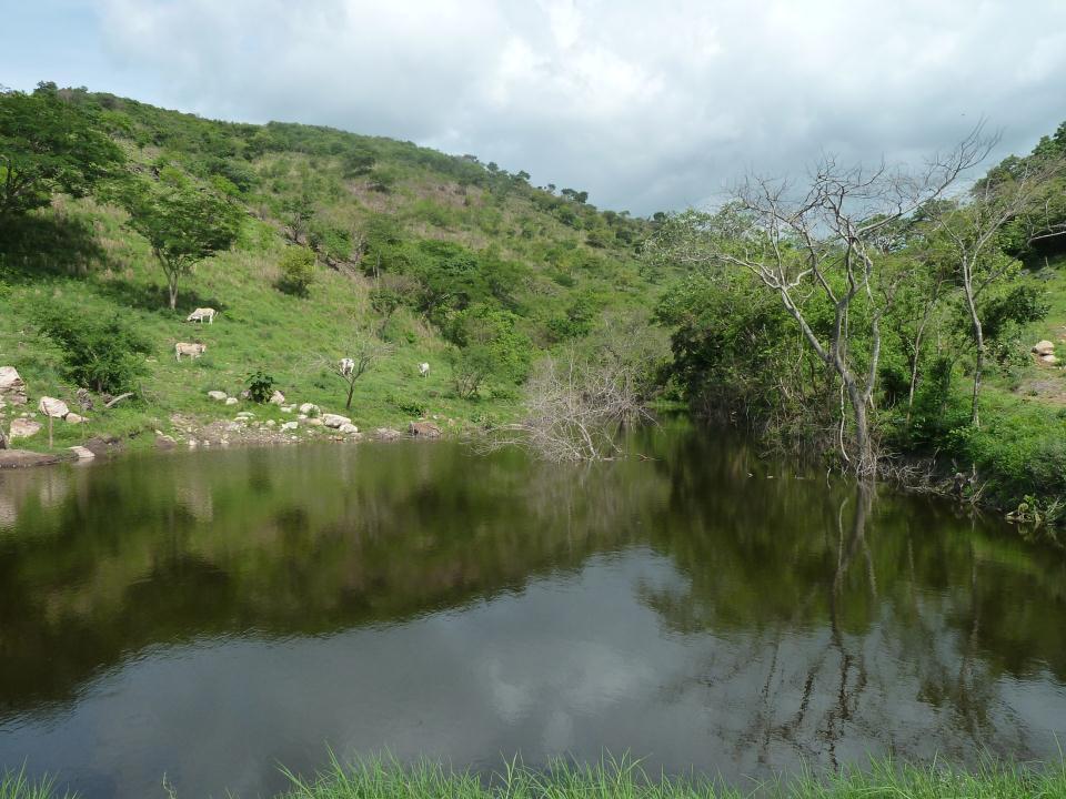 Cosecha de Agua para Ganado y Riego Almacenamiento de agua de 23,448 m 3 Riego suplementario para 7.8 ha Agua para ganado Tilapia Costo aprox.