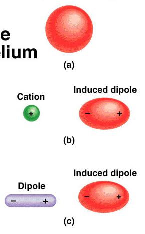 Interacción ión-dipolo inducido Es la interacción entre un ión y una molécula no polar o un átomo neutro Fuerzas de inducción Son fuerzas de atracción que se producen