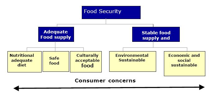 Food Security La Cumbre Mundial sobre la Alimentación en 1999 (WFS) definió Food Security de la siguiente manera: «Este concepto existe cuando todas las personas tienen en todo