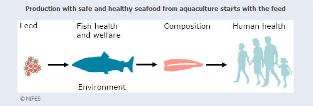 Food Security El alimento para peces es un importante eslabón en la cadena de producción de nutrientes para la nutrición humana.