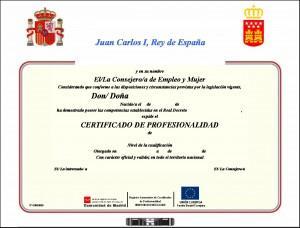 Certificado en Docencia de la Formación Profesional para el Empleo SSCE0110 y Tecnologías de la Información en la Educación (Universidad Rey Juan Carlos). Doble titulación homologada.