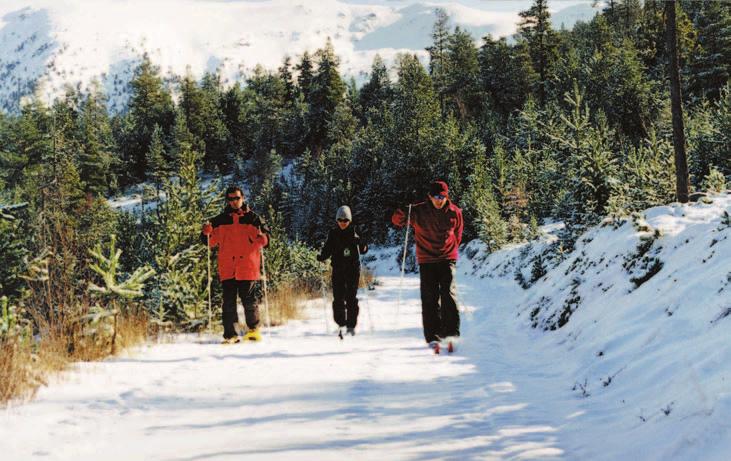 Es pot combinar la pràctica de l esquí nòrdic amb una bona oferta d activitats alternatives.