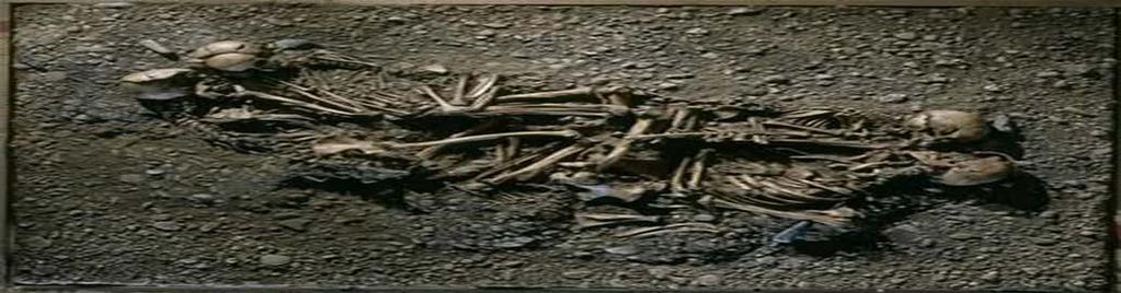 El enterramiento más antiguo de un núcleo familiar Los esqueletos fueron destapados en 2005 en un grupo de