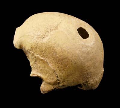Periodo Paleolítico Inferior En los hominoides descubiertos en Europa, sobre