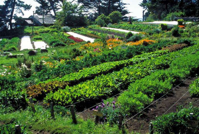 Planificación de cultivos primavera y verano Nodo de Salud, Soberanía Alimentaria y Agroecología SOCAT IPRU Al Norte del