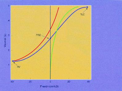 50 Fig. 5. Relación presión-volumen (distensibilidad) para el parénquima pulmonar aislado (línea verde), la caja torácica (línea roja) y la combinación de ambos (línea azul). RV-Volumen residual.