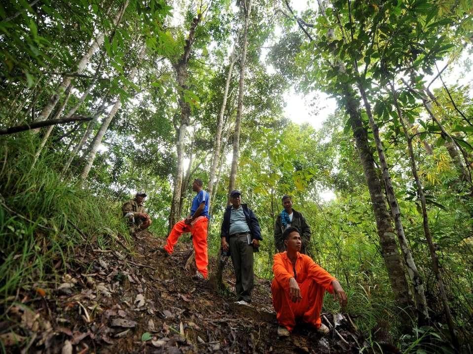 Bosques sanos personas sanas Más de una cuarta parte de las medicinas modernas proceden de las plantas de los bosques tropicales.