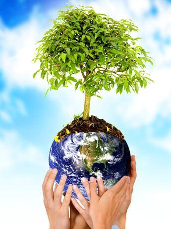 4. Predicción e interpretación de impactos El impacto ambiental es la transformación, modificación o alteración de cualquiera de los componentes del medio ambiente (biótico, abiótico y humano), como