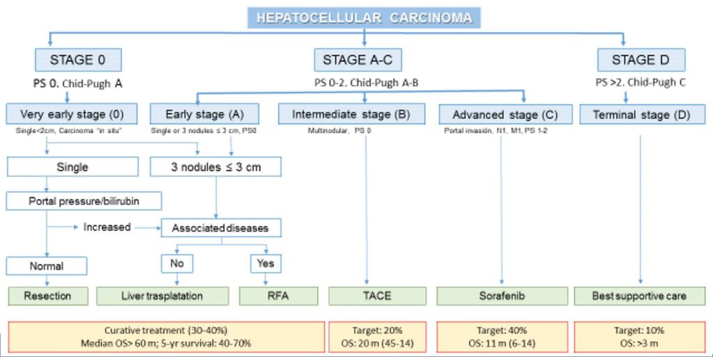 Lesiones hepáticas: tumores primarios CASO 3 o BAG hepática : hepatocarcinoma de patrón trabecular