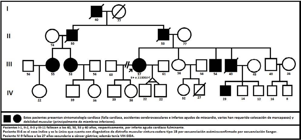 Rev. Fac. Med. 2016 Vol. 64 No. 1: 159-64 161 Figura 1. Familiograma que ilustra enfermedad genética con patrón de herencia autosómico dominante. Fuente: Elaboración propia.