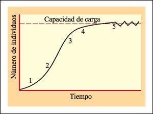Curva de crecimiento: Cuando representamos una magnitud medida en función del tiempo, obtendremos una curva de tipo sigmoide, también llamada curva de tamaño (en el caso de microalgas en cultivo,
