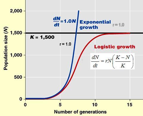 a la curva, es la medida de la velocidad de crecimiento. Velocidad de crecimiento es el aumento o incremento de tamaño (medido en largo, peso, tamaño, volumen, etc.) por unidad de tiempo.
