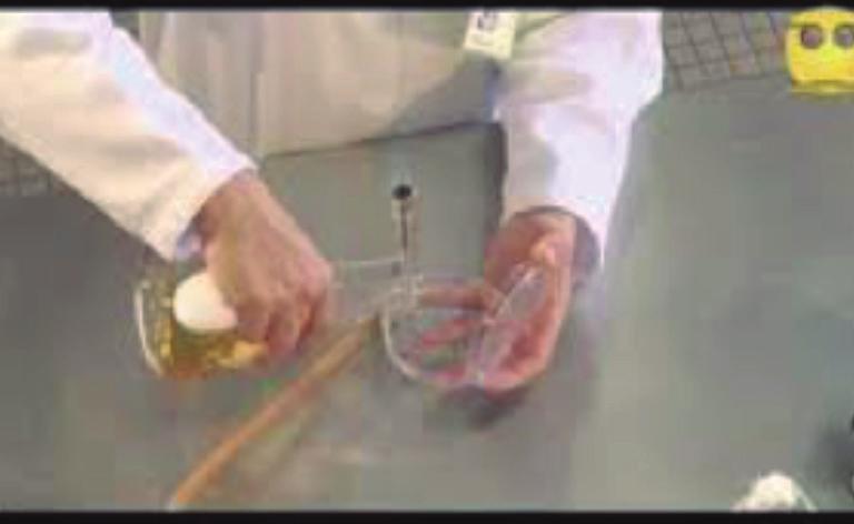 Técnicas de inoculación 105 Técnica de la placa por vertido La suspensión bacteriana se mezcla con agar fundido sobre una caja de petri. Fig.N0.