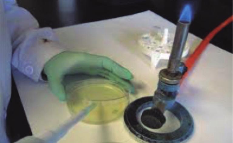 40 Técnica de inoculación muestra líquido en medio líquido Formación universitaria.2015 Técnica de la placa pobre. - Colocar alícuotas de 0.