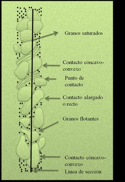 Tipo de entramado o contactos entre granos Modificada de Pettijohn, Potter y Servier (1972) Madurez textural, refleja el tiempo transcurrido entre la erosión del material