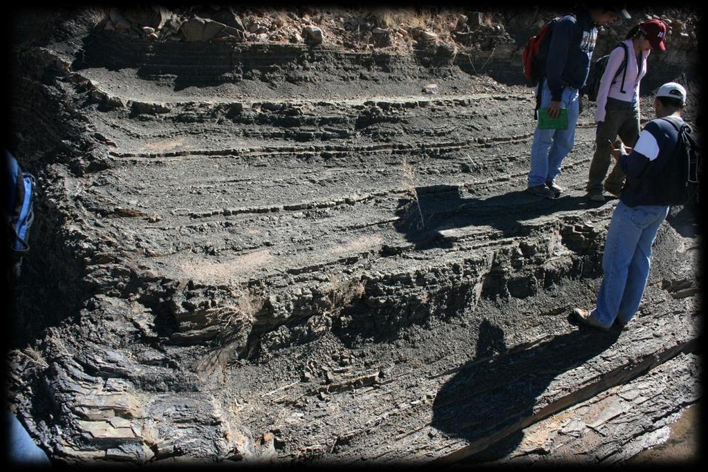 Lutitas. Estas rocas detríticas de grano fino, con tamaño de grano menor a 0.0625 mm, constituyen más de la mitad de todas las rocas sedimentarias.