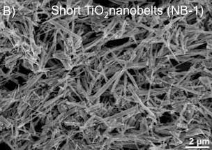 El estudio demuestra que la alteración del nanomaterial anatasa Ti02 a una estructura fibrosa mayor que 15 µm crea una partícula altamente tóxica e incia una respuesta inflamatoria de los macrófagos