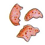 Células: Eritrocitos Leucocitos - Eosinófilos -