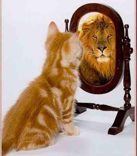 Autoestima Opinión y juicio (positivo o negativo) que tenemos de nosotros mismos, la aceptación que nos merecen nuestras propias