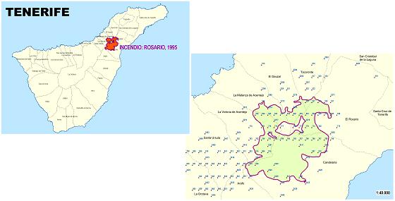 Figura 4.-Mapa de regeneración forestal. Incendio del Rosario 1995 (S.C.Tenerife, Canarias) Figura 5.