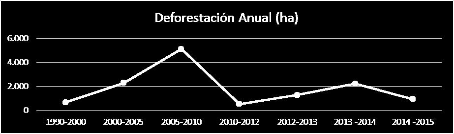 En la Oriente Antioqueño se redujo la deforestación en un 41,77%, pasando de 2207 hectáreas deforestadas