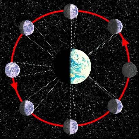 Relación día - mes lunar. Entre dos lunas llenas (o nuevas) pasan 29 días y medio aproximadamente.