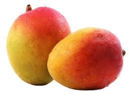 Exportación de mango a Estados Unidos de Zonas Libres de Moscas de la Fruta Exportación de