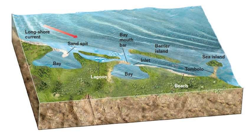 Las playas son sitios de sedimentación activos La erosion de las costas y la deposición en