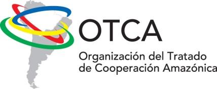 OTCA-BID Sistema de Vigilancia de Salud Ambiental en la Región Amazónica (RG-T1275 ATN/OC-10774-RG) Plan de Trabajo Coordinación Coordinador OTCA BID Estación de Trabajo Cronograma SP/OTCA BRASILIA
