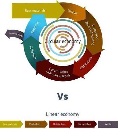 6. Qué es la Economía Circular?