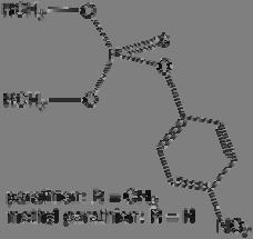 Residuo de serina en el sitio activo Fig.2. Unión entre la enzima acetilcolinesterasa y el inhibidor irreversible DFP.