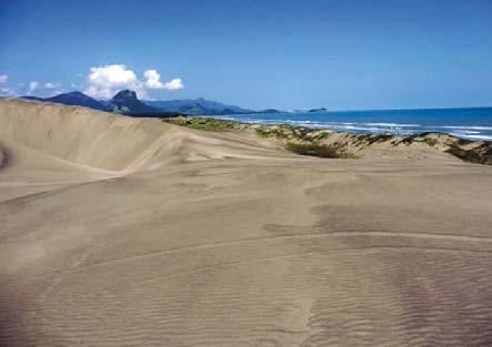 Diagnóstico de las dunas costeras de México figura 7. Dunas frontales semiestabilizadas al fondo de la playa, seguidas por un campo de dunas transgresivas tierra adentro. (Foto: M.L. Martínez).