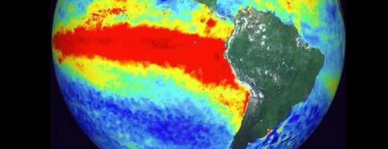 El Niño nos afectó: impacto estimado en Márgenes (no considera efectos en fluctuaciones de precio) División Efecto Efecto US$ mill.