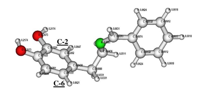 Para obtener mayor información sobre los efectos electrónicos presentes en la reacción entre dopamina 3a y aldehídos se calculó la distribución de cargas atómicas de Mulliken para una imina