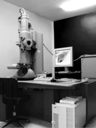 OPCIÓN A P3) Para hacer observaciones, los microscopios ópticos usan fotones y los microscopios electrónicos usan electrones.