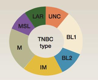 Mutaciones y delecciones p53, RB1,BRCA1