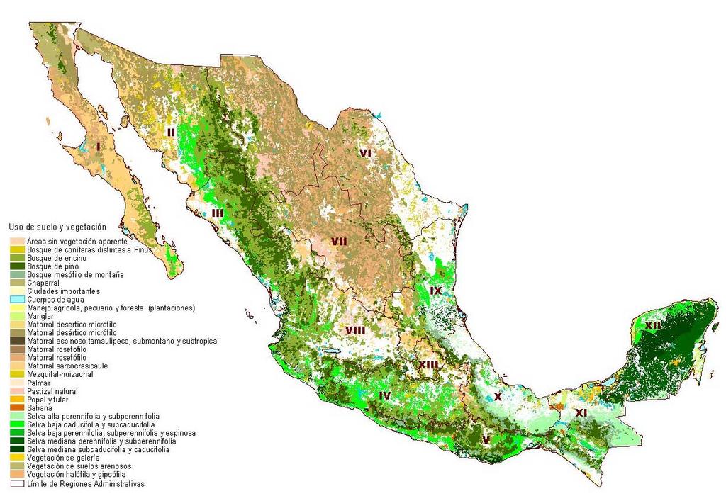 SUELOS En México, sin que a la fecha exista un monitoreo real, se estima que el deterioro anual de suelos impacta entre 150 mil y 200 mil hectáreas.