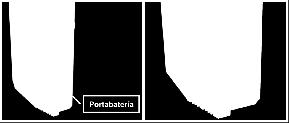 Retire la tapa del Portapila, presionando la lengüeta hacia abajo con el dedo, inserte la pila (con el lado + hacia arriba) y vuelva a colocar la tapa (ver Fig. 22).