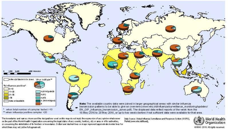 8.1.1. Situación mundial y regional de la transmisión de influenza La información mundial sobre influenza se clasifica por zonas de transmisión, que son grupos geográficos de países, áreas o
